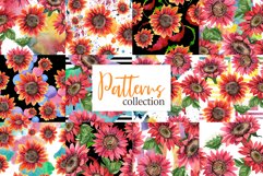 Sunflower Watercolor png Product Image 5
