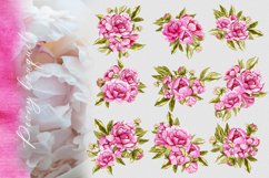 Watercolor floral set pink peony PNG Product Image 2