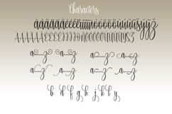 Web Font Radeshia Product Image 6