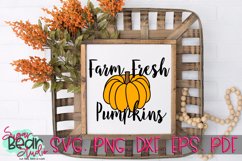 Farm Fresh Pumpkins - A Fall SVG Product Image 2