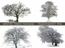 30 SNOW TREES TRANSPARENT PNG FILES, PHOTOSHOP OVERLAYS Product Image 4