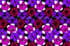 12 Seamless colorful FLOWER patterns bundle. Digital Paper Product Image 12