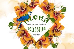 Aloha Hand Painted Tropical Frames Product Image 1