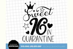 Sweet 16 SVG, Quarantine Birthday SVG, Friends SVG, Fabulous Product Image 2