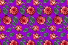 12 Seamless colorful FLOWER patterns bundle. Digital Paper Product Image 5