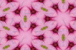 12 abstract Seamless colorful FLOWER patterns pack. Product Image 8