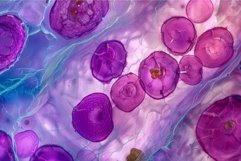 High magnification view showing detailed plant cells under a Product Image 1
