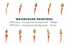 Carrot Illustration| Watercolor Clipart in PNG & EPS Product Image 2