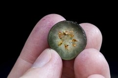 fresh blue blueberries are spherical Product Image 1