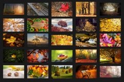 200 AUTUMN DIGITAL PHOTOSHOP OVERLAYS, BACKDROPS BACKGROUNDS Product Image 7