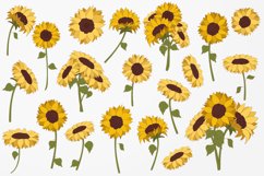 Sunflowers Product Image 3