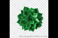 100 Real Vivid Succulent Clip Arts, Botanical Kit Garden Product Image 2