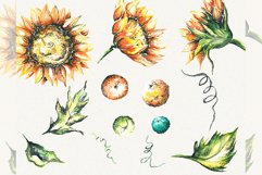 Sunflower clipart, sunflower watercolor clipart, floral Product Image 2