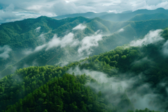 Mystical Foggy Forest Landscape Background Wallpaper Product Image 1