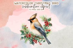 Christmas Bird Watercolor Clipart Product Image 7