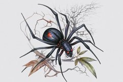 Spider clipart, Halloween sublimation, Goth clipart Product Image 7