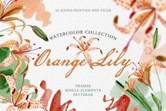 Orange lily Watercolor png Product Image 1