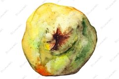 Watercolor yellow green pear ripe fruit isolated Product Image 1