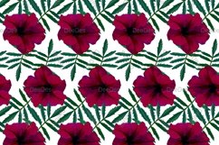 12 Seamless colorful FLOWER patterns bundle. Digital Paper Product Image 2
