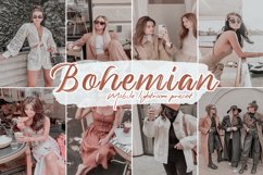 Bohemian Lightroom Presets Product Image 1