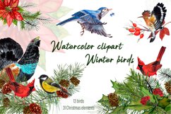 Watercolor clipart Winter birds Product Image 1