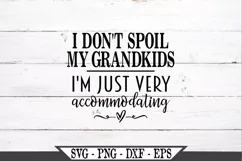 I Don't Spoil My Grandkids I'm Just Very Accommodating SVG Product Image 2