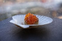Red caviar on a scallop fillet Product Image 1