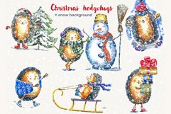 Christmas clipart, hedgehog, watercolor clipart Product Image 1