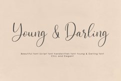 Web Font Young & Darling Font Product Image 1