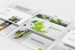 Vegetables Keynote Template Product Image 10
