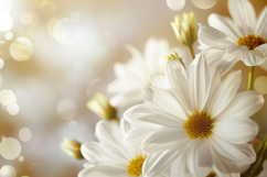 Common Daisy Background Wallpaper Product Image 1
