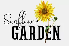 Shinyday & ROCKSTAR font duo - Free Font of The Week Product Image 2