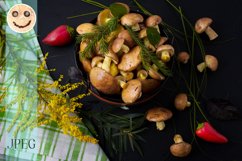 Forest picking mushrooms and yellow wild grass, top view Product Image 1