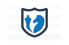Secure Strategies Product Image 1