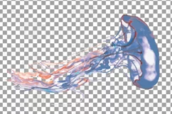 Jellyfish watercolor design, colorful sea jelly wall decor. Product Image 23