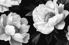 White Flowers with Black Background Wallpaper Product Image 1