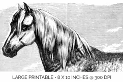 Horse Clipart Black and White Vintage Grand Race Percheronne Product Image 5