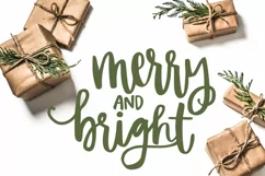 40 Christmas Photo Overlays  FREE symbols font Product Image 4