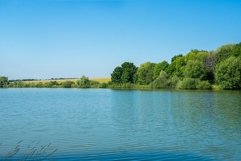 Green trees on the river bank against the blue sky Product Image 1