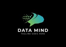 Data Mind Logo Product Image 2