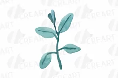 Cotton bolls and fir branch leafy autumn and winter decor Product Image 23