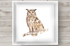 Watercolor Mother &amp; Baby - Owls - Clip Art &amp; Print Product Image 1