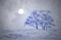 200 WINTER SNOW TRANSPARENT PNG FILES, PHOTOSHOP OVERLAYS Product Image 3