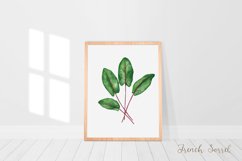 Watercolour wall art, Watercolour Herbs prints, Herbs poster Product Image 7