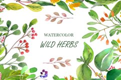 Wilde Herbs Watercolor Set Product Image 1