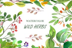 Wilde Herbs Watercolor Set Product Image 1