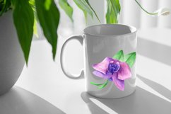 Watercolor Clipart Orchid flower.Summer,Spring.EPS,AI,JPG,PN Product Image 3