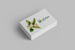 White mistletoe, snow berry, watercolor clipart PNG Product Image 5