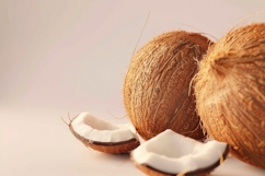Coconuts Background Wallpaper Product Image 1