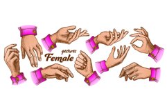 Color Different Gesture Set Vintage Vector Product Image 1
